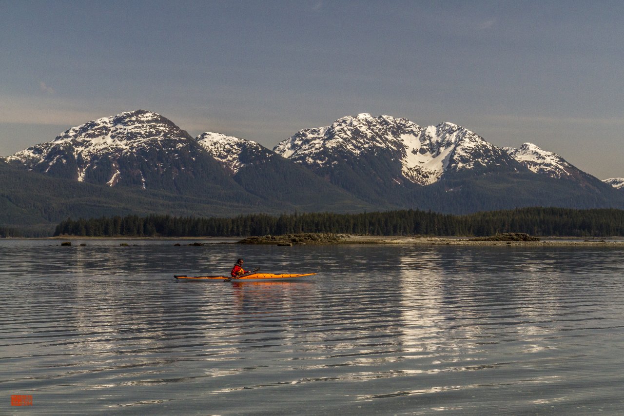 Daniel Fox kayaking through nature