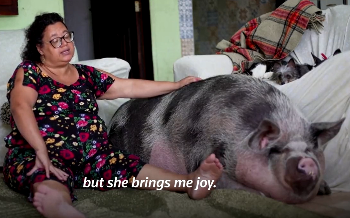 Lilica the pig and her owner