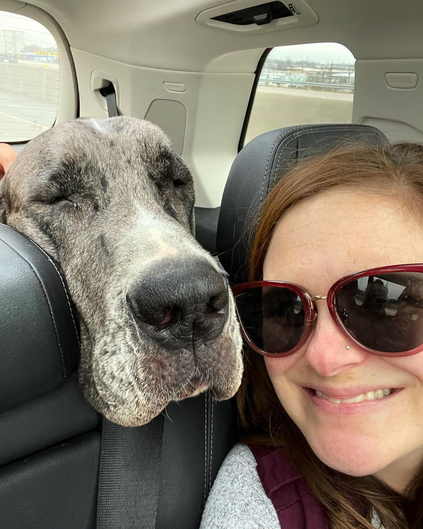 brittany taking a selfie with zeus. she's wearing sunglasses and they're sitting in a car.