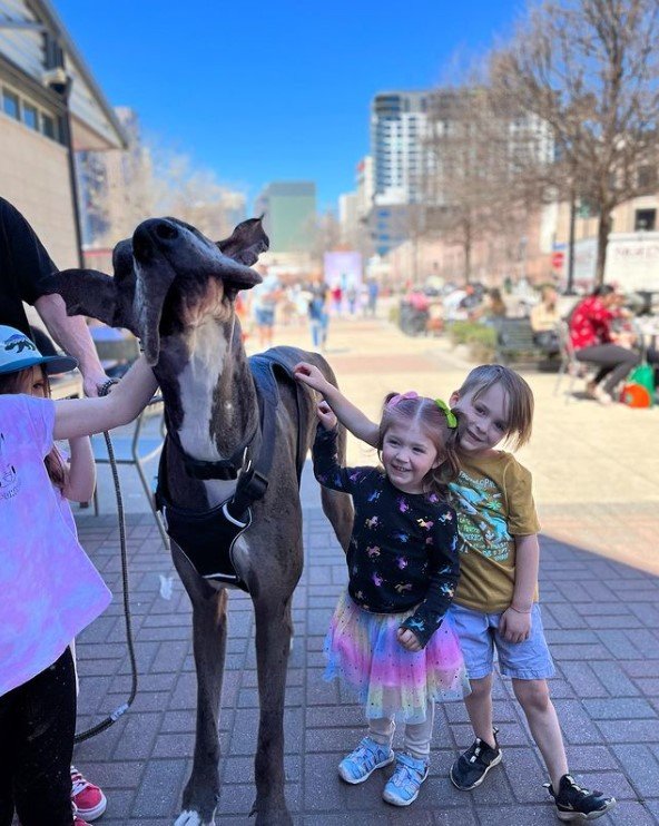 two little kids smiling as they pet the world's tallest dog, zeus.
