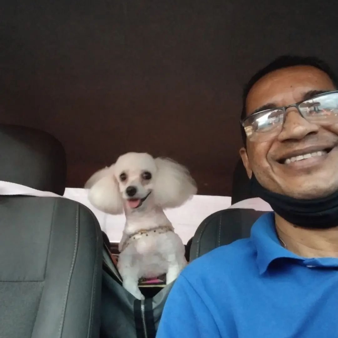 Hamilton Taurino in car with tiny white dog with fluffy ears