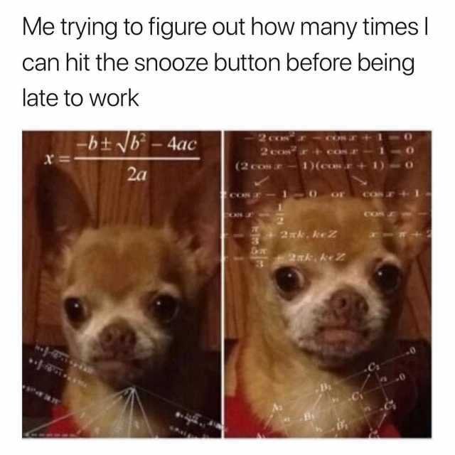 meme of a chihuahua with math superimposed over top, captioned "Me trying to figure out how many times I can hit the snooze button before being late to work"