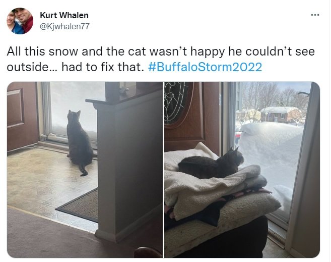 cat sitting by open door, which is blocked by snow. Second photo shows owner has placed piles of blankets so cat can see out over snowbanks.