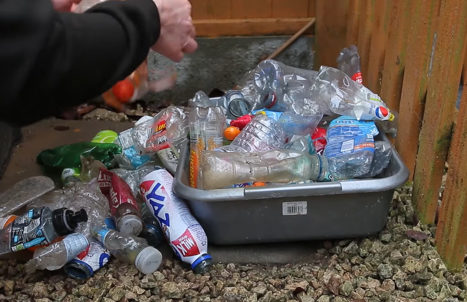 a bin filled with plastic bottles that Scruff has collected on his walks.